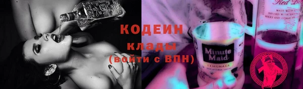 молекула духа Осинники