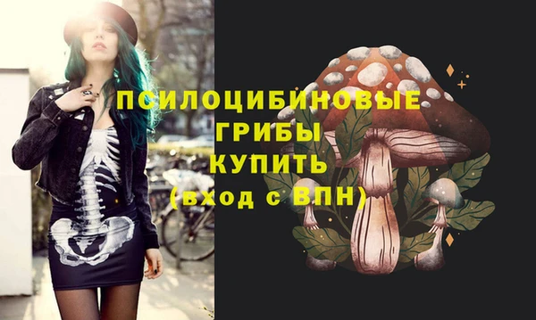 твердый Осташков