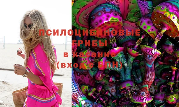 молекула духа Осинники