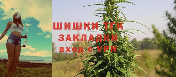 молекула духа Осинники