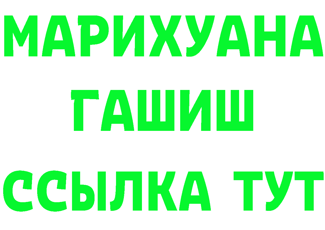 Альфа ПВП СК КРИС сайт площадка mega Аргун