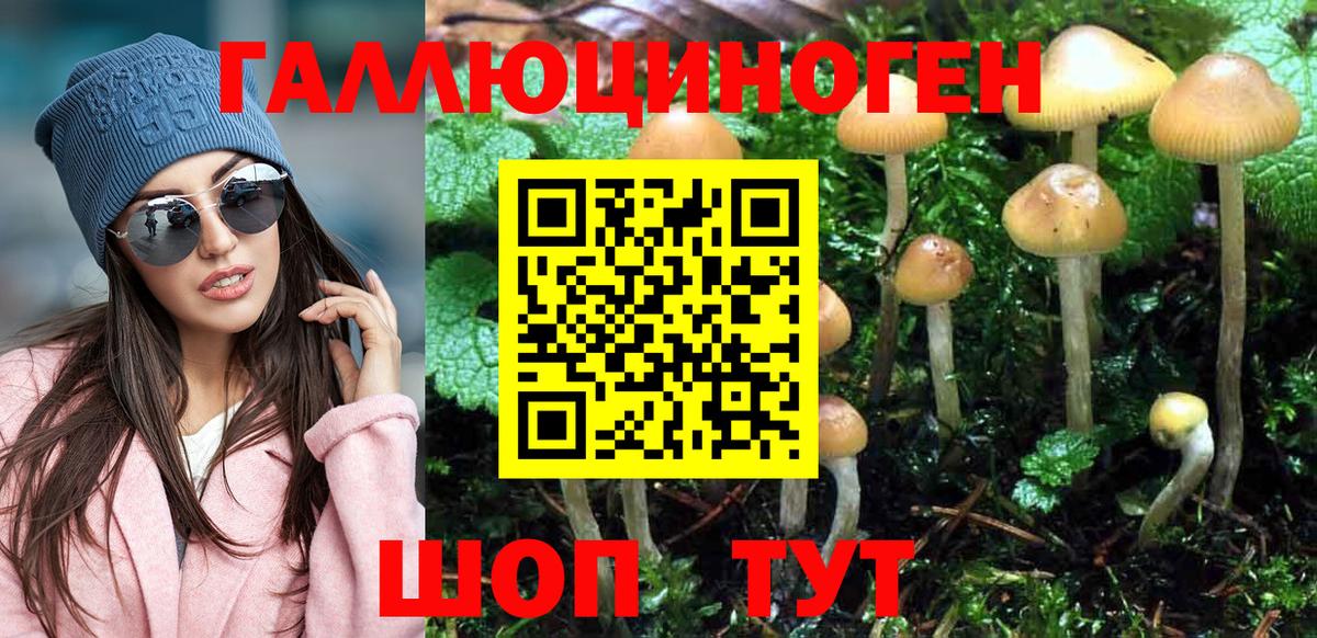 Экстази Аргун
