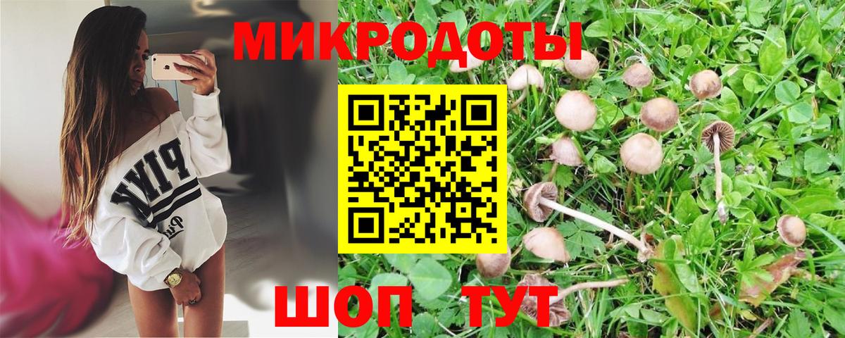 Галлюциногенные грибы MAGIC MUSHROOMS Аргун
