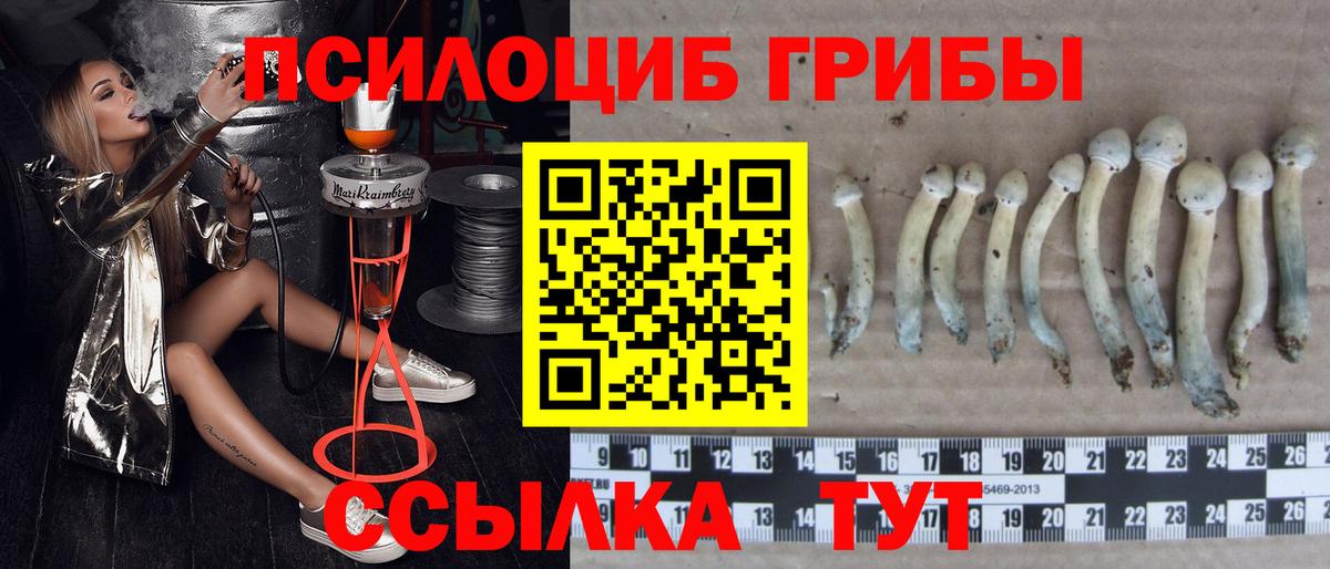 Аргун  Псилоцибиновые грибы Cubensis  Галлюциногенные грибы Magic Shrooms  Вход с VPN 